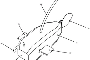 適應(yīng)深水區(qū)域的仿生機(jī)器魚