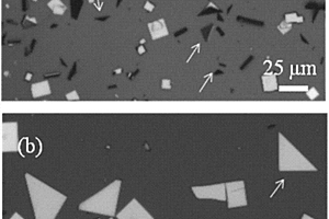 Bi<sub>2</sub>O<sub>x</sub>Se納米片、其制備方法及用途