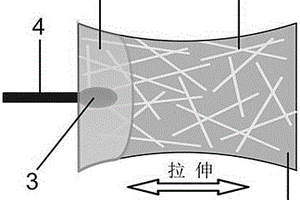 基于金納米管的柔性可拉伸電極及其制備方法與應(yīng)用