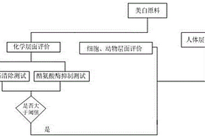 美白原料功效評(píng)價(jià)體系及評(píng)價(jià)方法