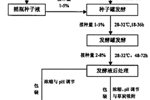 利用城市污泥制備的根瘤菌接種劑及其制備方法