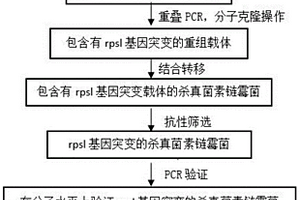 殺真菌素鏈霉菌恩拉霉素抗性好且產(chǎn)量高的基因和菌株