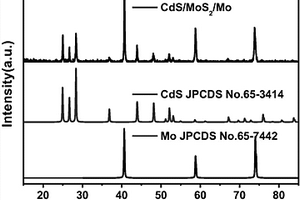 CdS/MoS2/Mo雙層核殼結構光電極