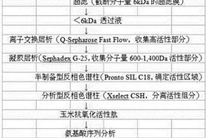 玉米抗氧化活性肽及其制備方法