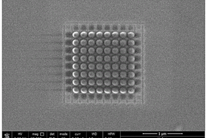 利用聚焦離子束加工納米雙極電極陣列的方法及用途
