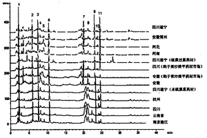 白芷藥材水提液指紋圖譜及其建立方法和應(yīng)用