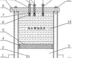 模擬深海環(huán)境的微型電解試驗裝置