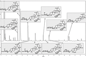 崗梅根藥材HPLC-ELSD指紋圖譜的建立方法