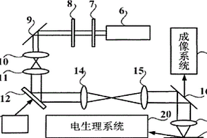 三維光刺激系統(tǒng)