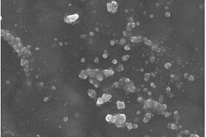 氮磷共摻雜碳包覆MoO3-ｘ及其制備方法