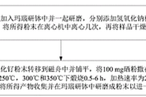 硒化表面修飾二氧化釕納米顆粒催化劑、制備方法及應用