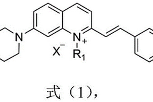 比率型熒光探針及其制備方法與應(yīng)用