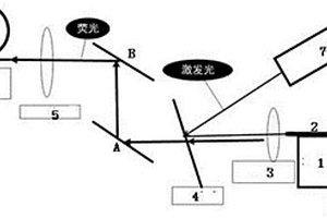 基于倏逝波技術(shù)的特種光纖生化傳感器