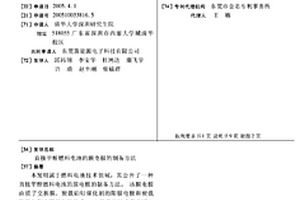 直接甲醇燃料電池的膜電極的制備方法