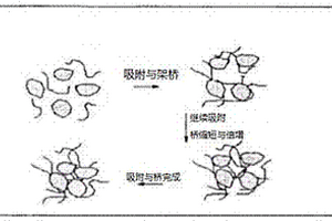 電催化調(diào)理能量波疊加共振污泥深度脫水方法