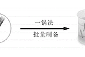 功能化核殼納米線及其制備方法與應(yīng)用