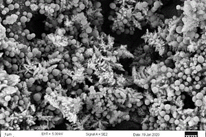 碳修飾的三維樹狀Ni<Sub>3</Sub>S<Sub>2</Sub>電極材料用于超級電容器