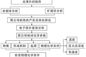 巖石黑云母化形成條件的綜合量化方法