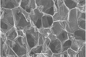 還原氧化石墨烯?聚酰亞胺熱處理泡沫的制備方法