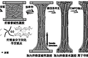 全纖維素納米流體離子導(dǎo)體膜材料制備方法