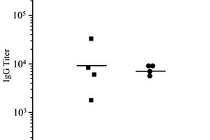 氟代TF-MUC1糖肽綴合物及其制備方法和應(yīng)用