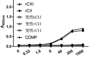 L7D8單克隆抗體及其應用