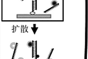 基于光激活的單分子熒光共振能量轉(zhuǎn)移的方法