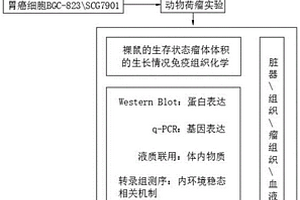 治療胃癌的中藥復(fù)方