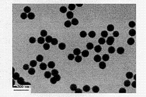 表面功能化的微納米聚合物凝膠粒子及其制備方法