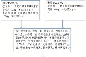 槐耳顆粒在制備進行肝細胞癌TACE預(yù)后的試劑中的應(yīng)用