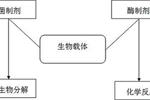 酶、菌制劑原位修復(fù)底泥污染工藝