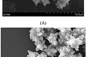 銀-氧化鋅復(fù)合納米顆粒的制備方法及其用途