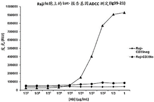 用于通過(guò)CD39表達(dá)細(xì)胞的ADCC靶向促進(jìn)和增強(qiáng)T細(xì)胞介導(dǎo)的免疫反應(yīng)的方法和組合物