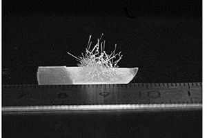 磷摻雜β-Ga<Sub>2</Sub>O<Sub>3</Sub>微米線的制備方法