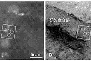 確定油氣運(yùn)移的期次、時(shí)間、動(dòng)力與方向的方法