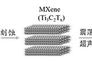 二維層狀材料MXene定向介質(zhì)及其應(yīng)用