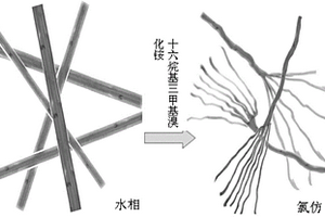 有機相硫化鎘/碲化鎘納米晶超結構及其制備方法和應用