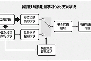 專家經(jīng)驗輔助的餐前胰島素劑量學(xué)習(xí)優(yōu)化決策系統(tǒng)