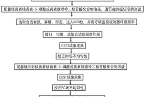 核黃素衍生物在磁共振成像中的應(yīng)用