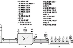 農(nóng)村生活混合廢水綜合凈化處理的裝置及方法