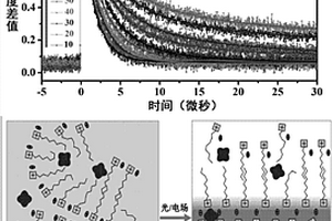 離子液體體系中分子分布的調(diào)控方法及應(yīng)用