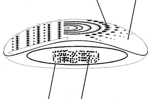 環(huán)保殺菌止癢浴足器