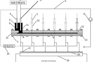 用于研究剝離涂層下金屬基體腐蝕行為的實(shí)驗(yàn)裝置