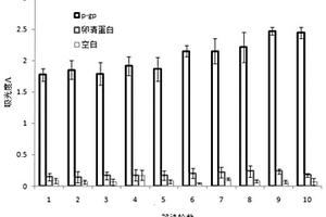 特異性結(jié)合P-糖蛋白的核酸適配體、制備方法及其應(yīng)用