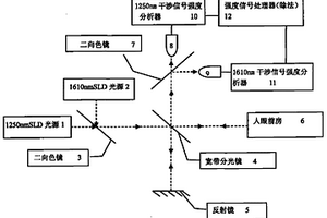 物質(zhì)濃度的無損光學檢測方法及其裝置