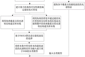 基于拉曼高光譜成像技術(shù)的魚刺檢測方法