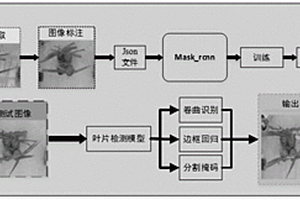 基于卷曲葉片檢測(cè)的玉米干旱識(shí)別方法