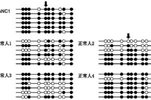 甲基化位點(diǎn)、檢測(cè)甲基化水平的產(chǎn)品的用途及試劑盒