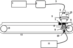 基于近紅外漫透射固體物在線檢測系統(tǒng)