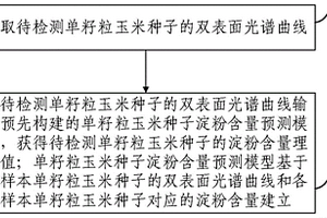 單籽粒玉米種子淀粉含量近紅外高光譜檢測方法及系統(tǒng)